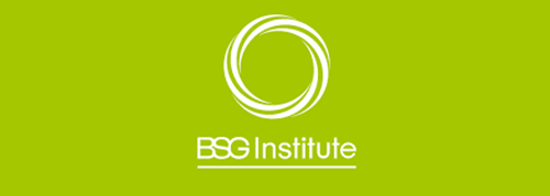 BSG Institute